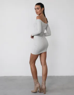 Becky Long Sleeve Mini Dress (Grey)