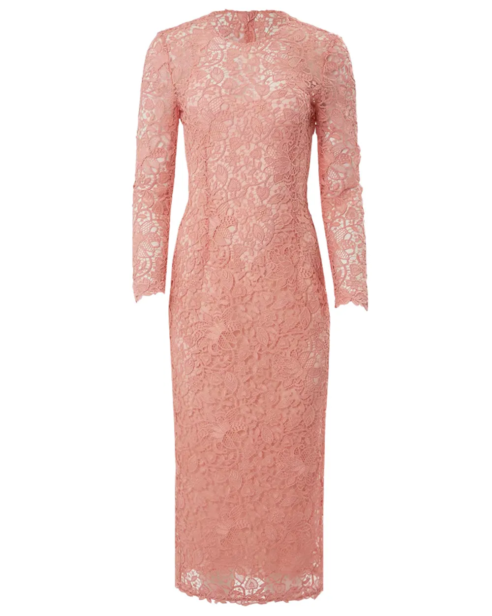 Blush Lace Long Sleeve Midi Dress