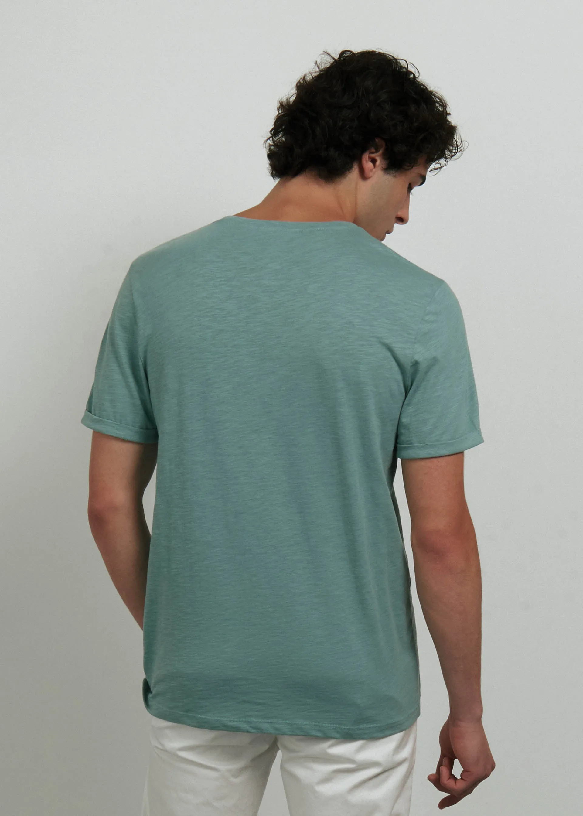 T shirt basic puro cotone