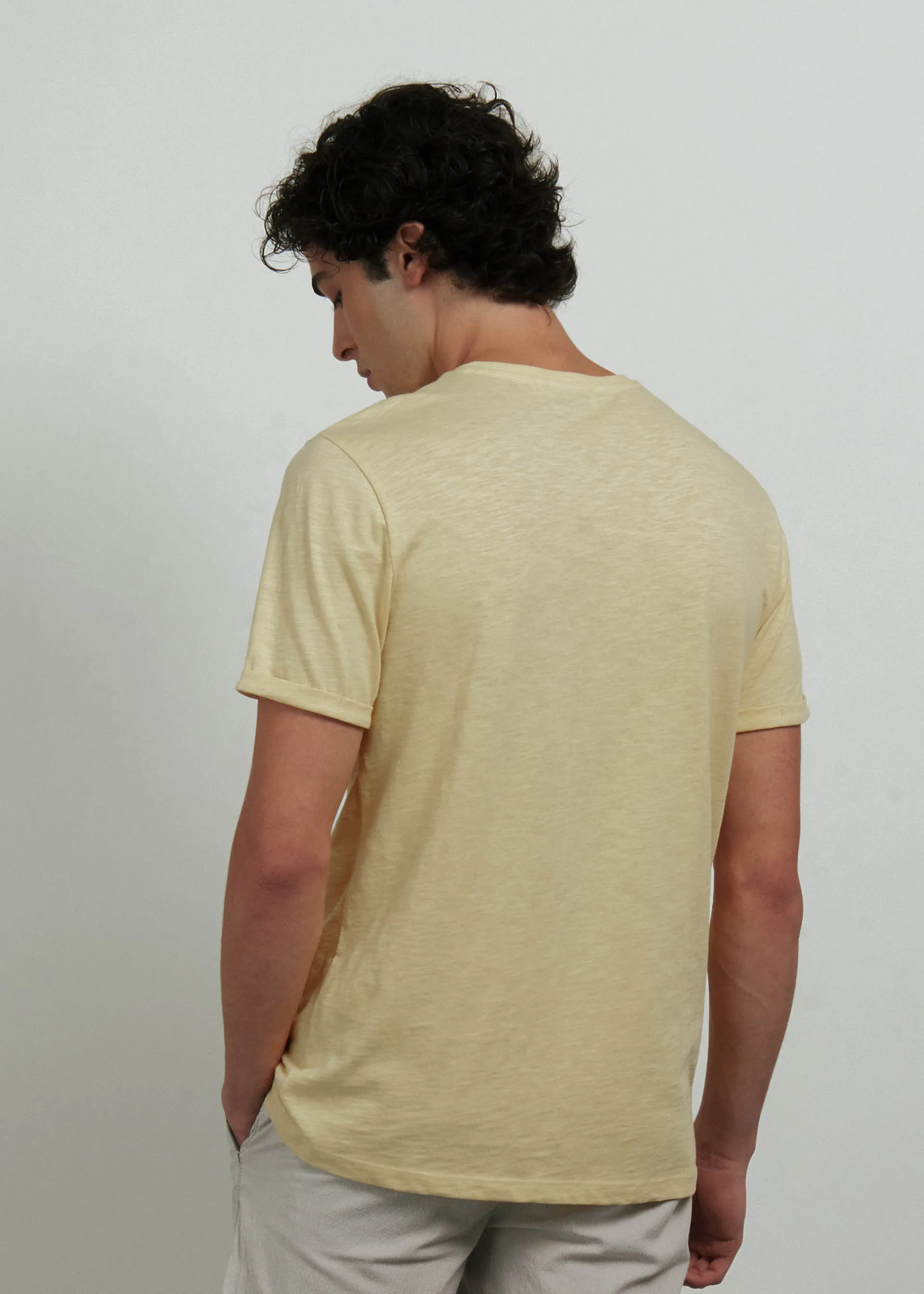 T shirt basic puro cotone